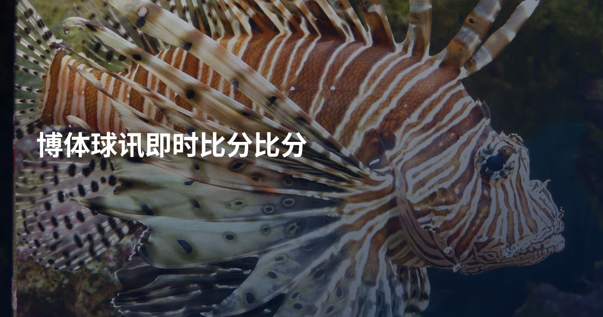 博体球讯即时比分比分