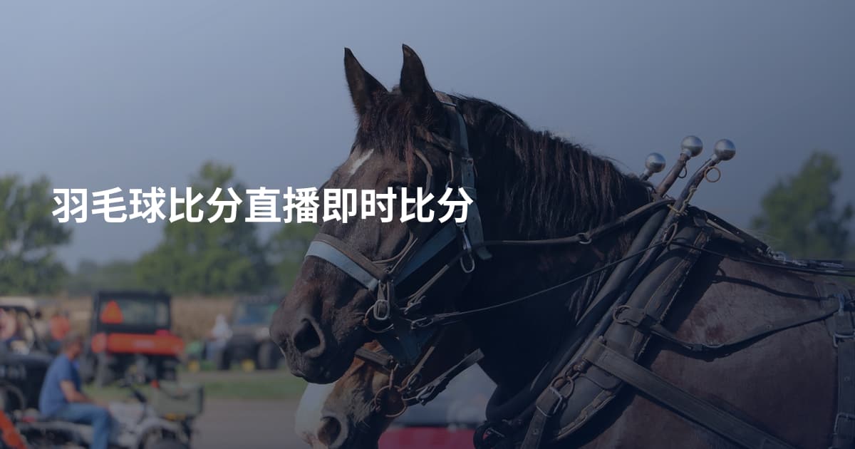 羽毛球比分直播即时比分