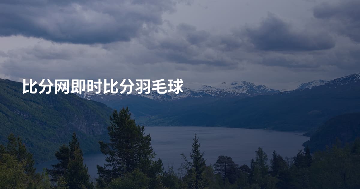 比分网即时比分羽毛球