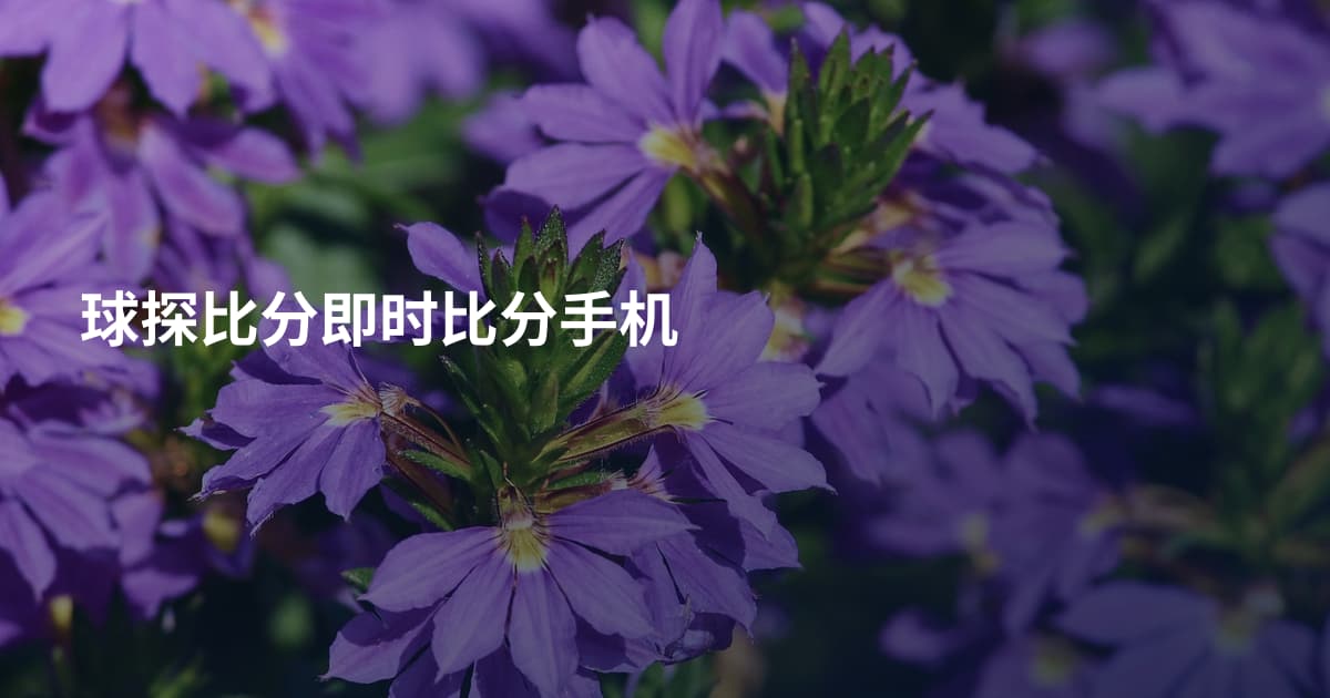 球探比分即时比分手机
