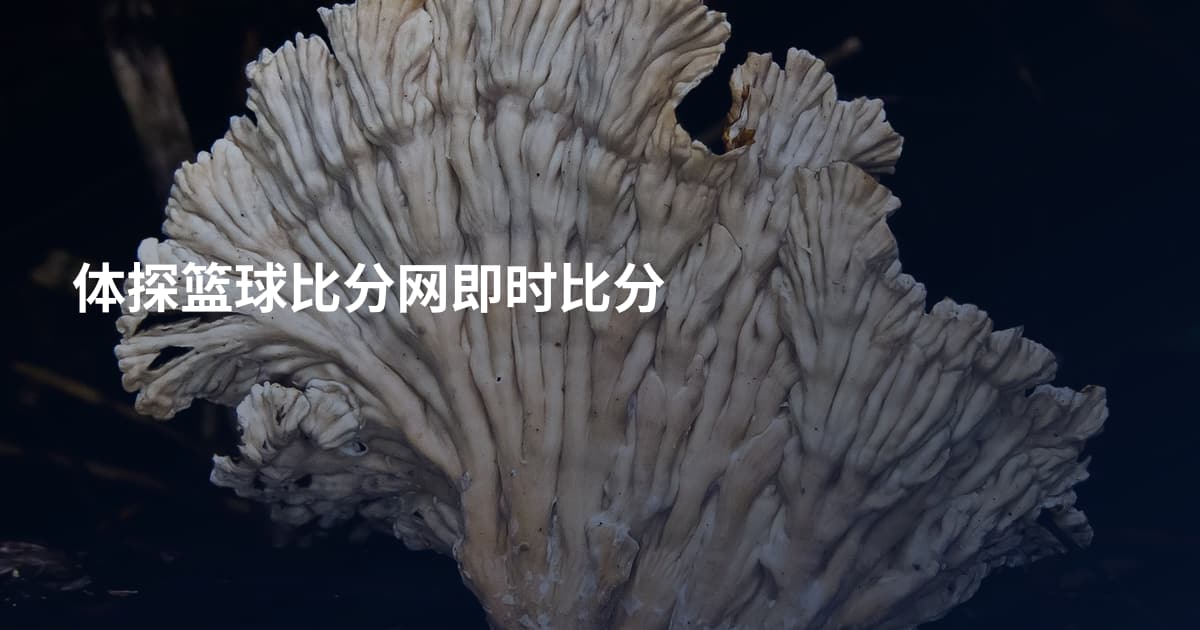 体探篮球比分网即时比分