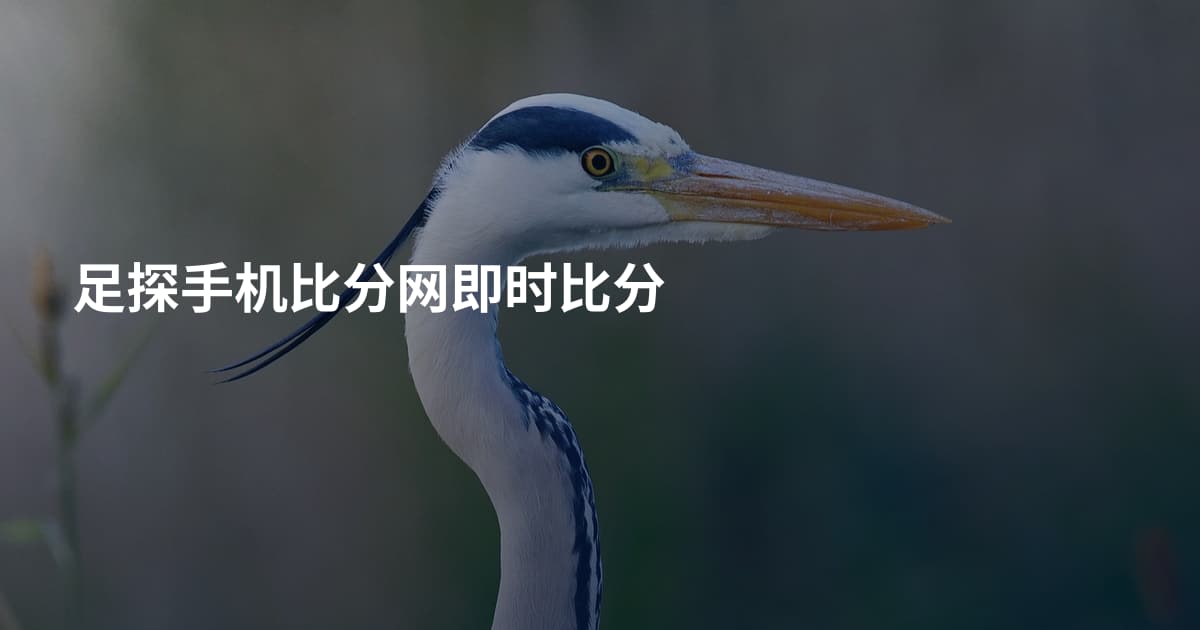 足探手机比分网即时比分