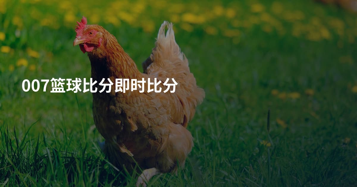 007篮球比分即时比分
