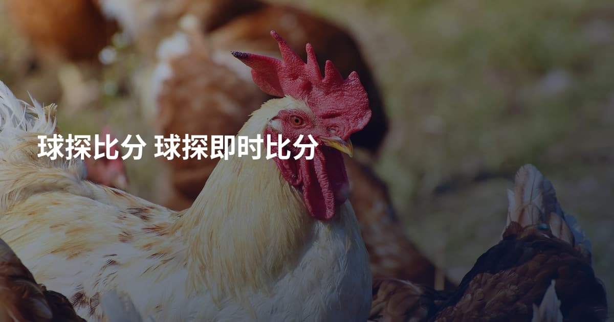 球探比分 球探即时比分