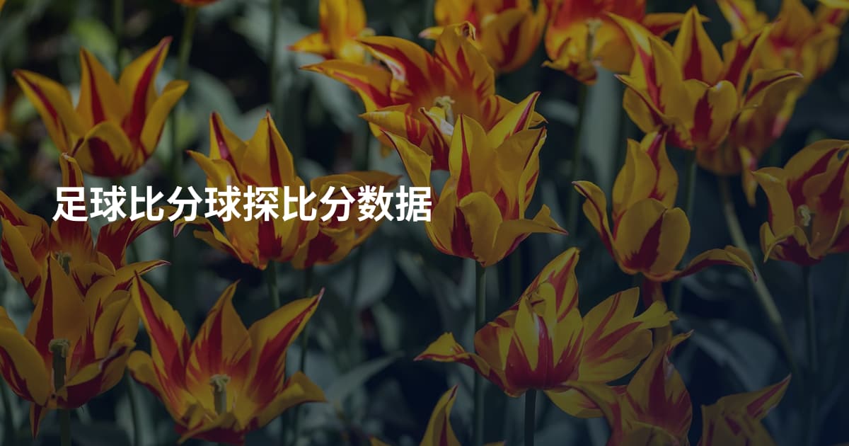足球比分球探比分数据