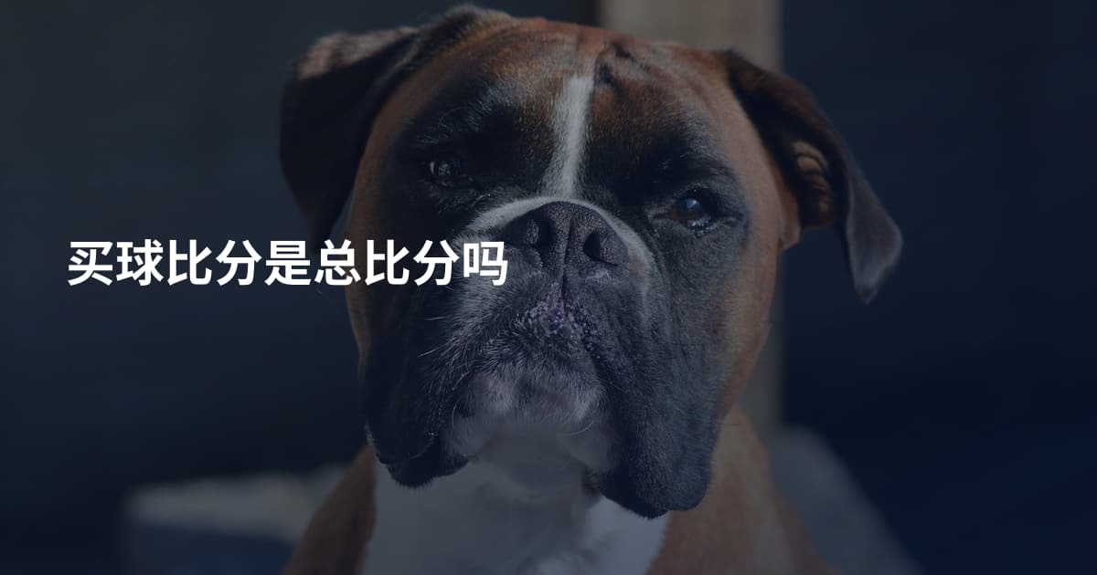 买球比分是总比分吗