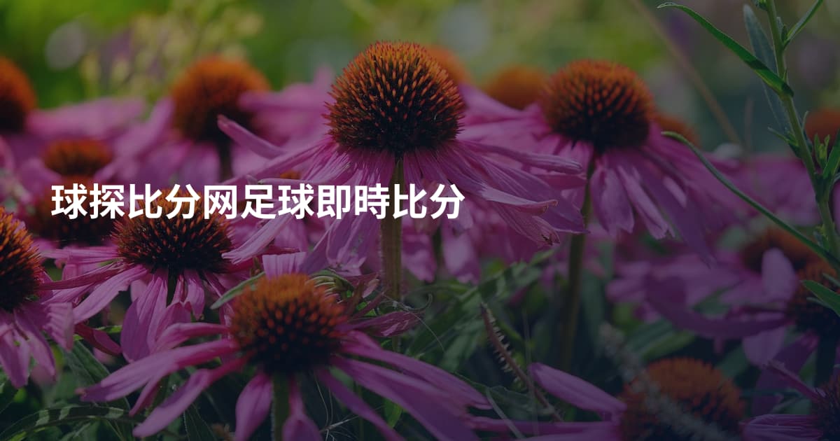 球探比分网足球即時比分