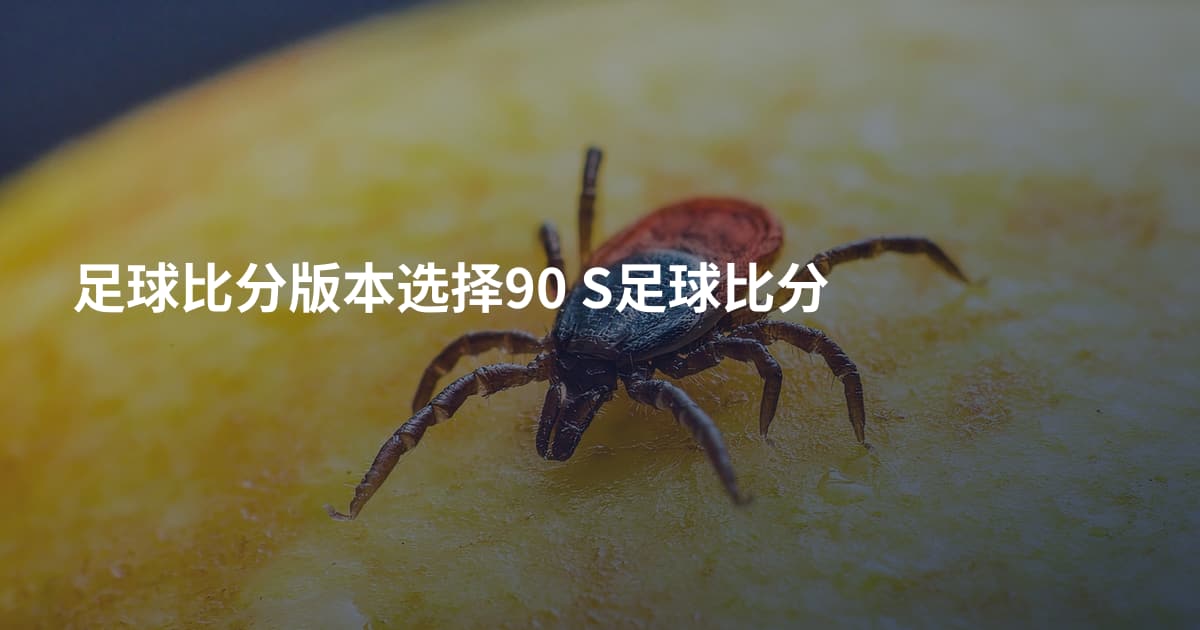 足球比分版本选择90 S足球比分