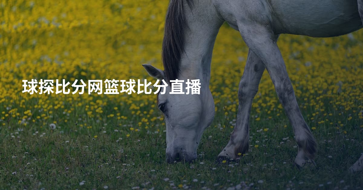 球探比分网篮球比分直播