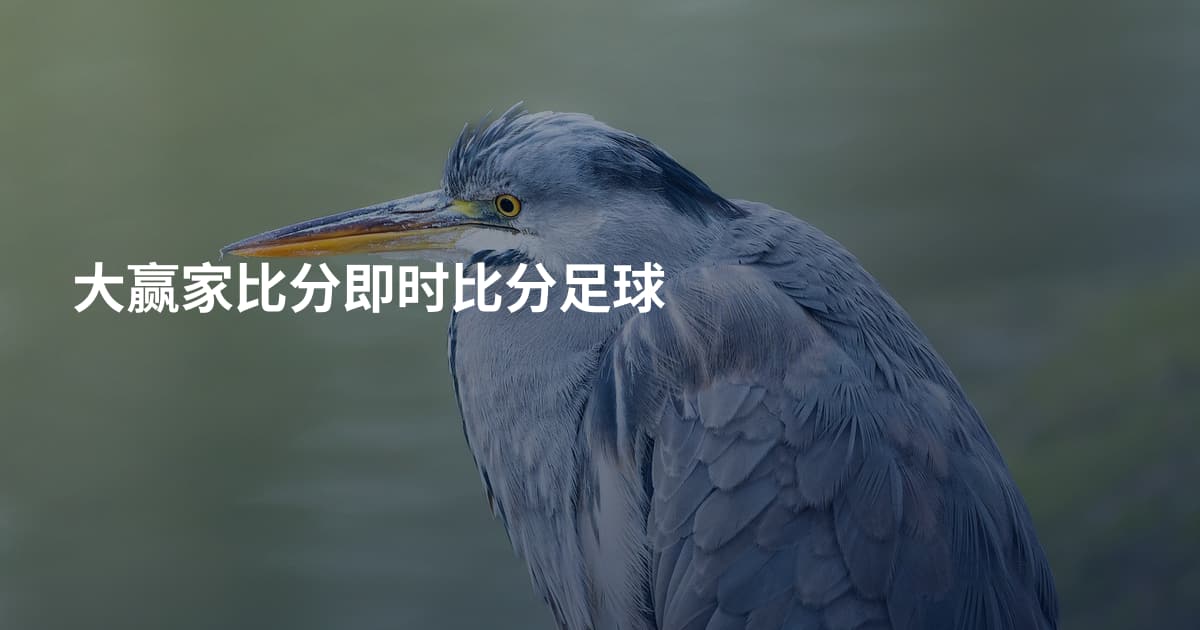 大赢家比分即时比分足球