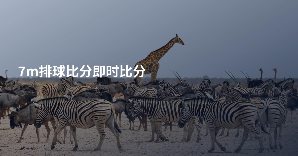 7m排球比分即时比分