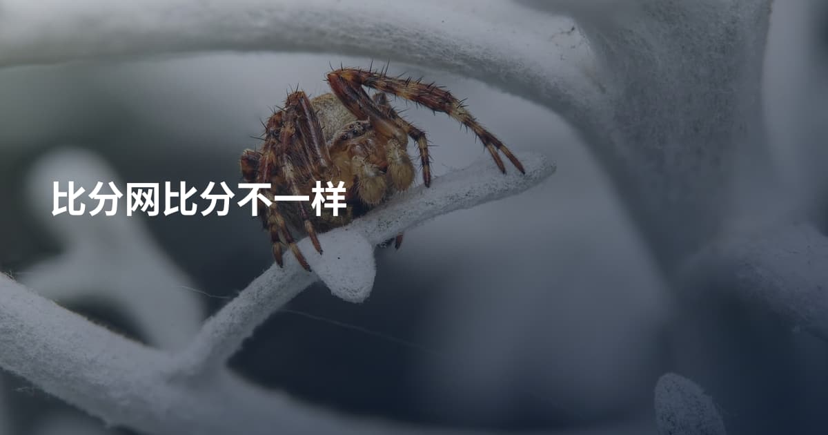 比分网比分不一样
