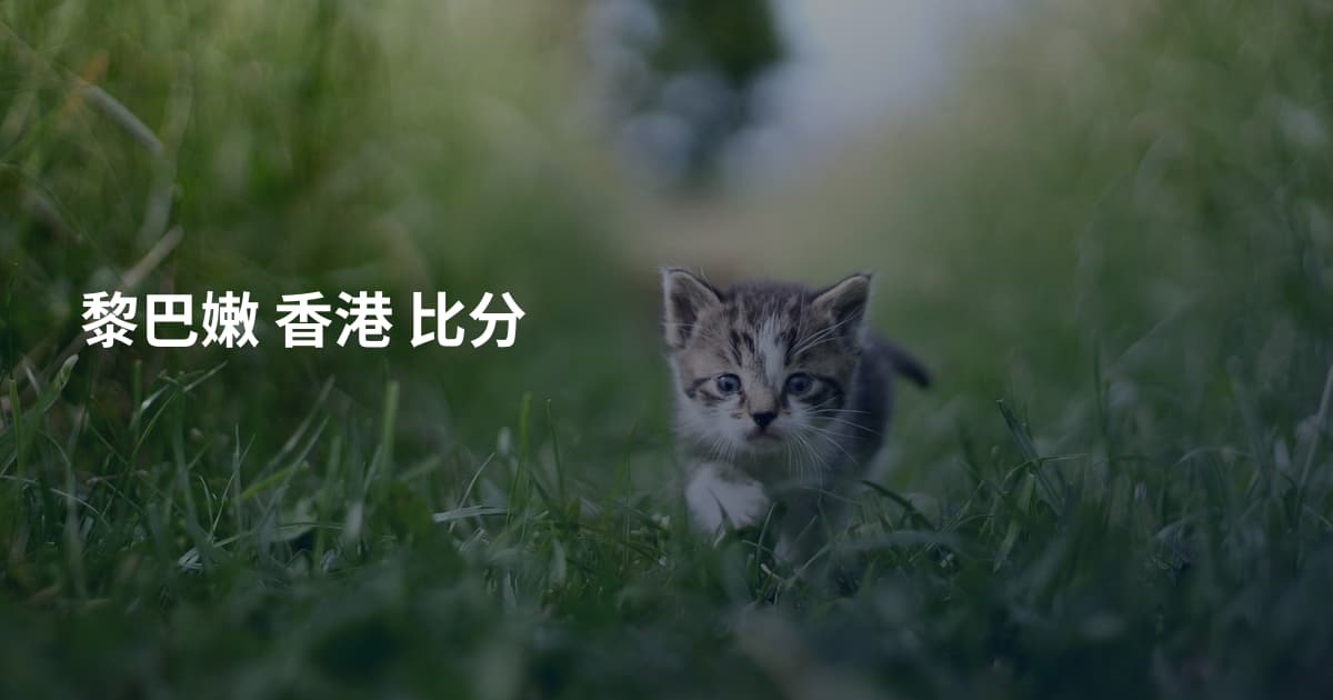 黎巴嫩 香港 比分