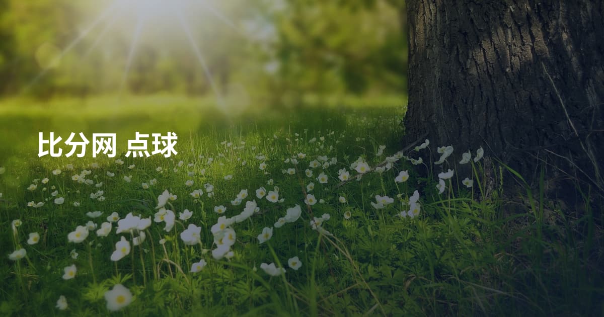 比分网 点球