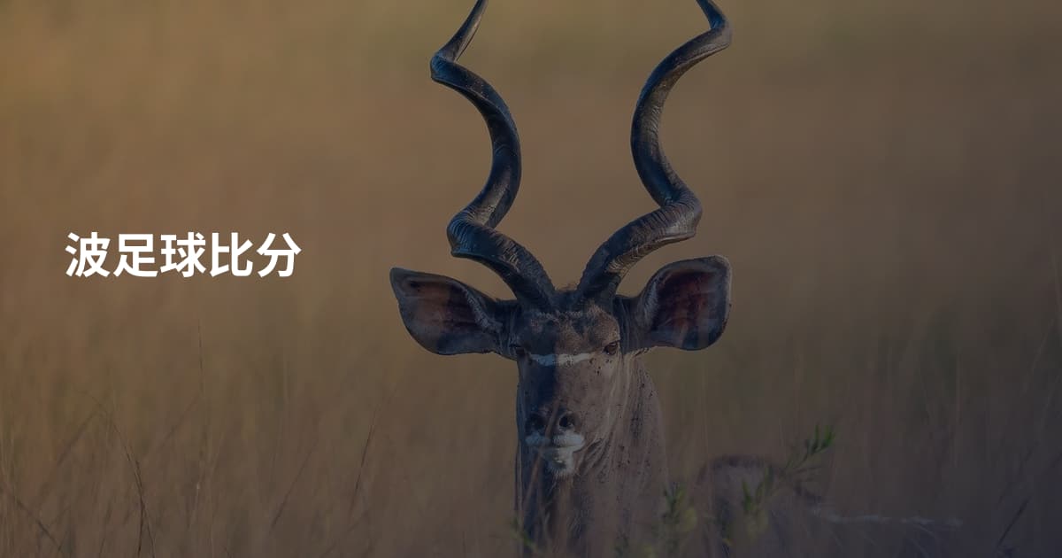 波足球比分