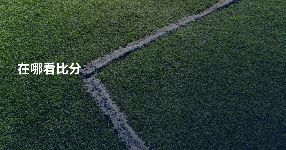 在哪看比分