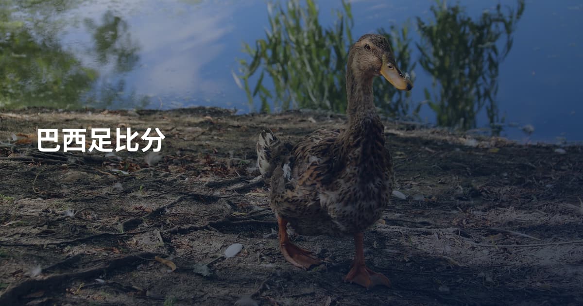 巴西足比分