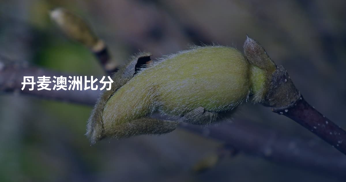 丹麦澳洲比分