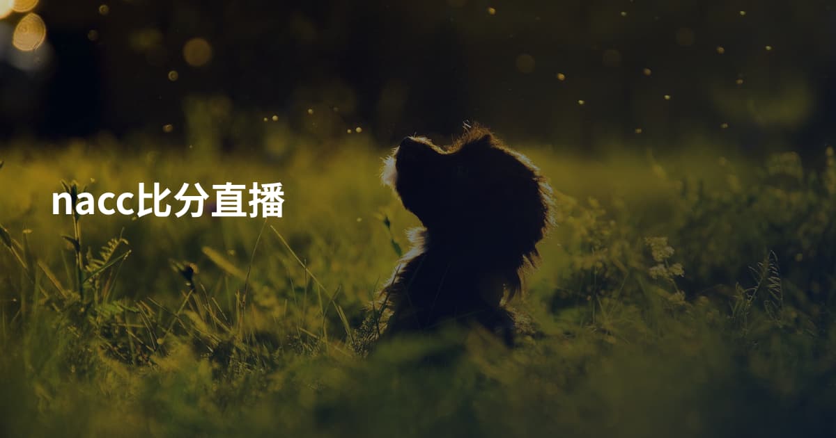 nacc比分直播