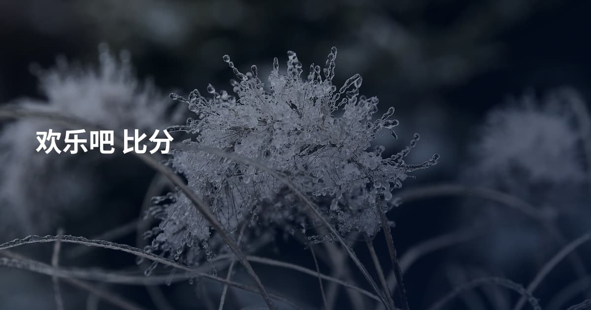 欢乐吧 比分