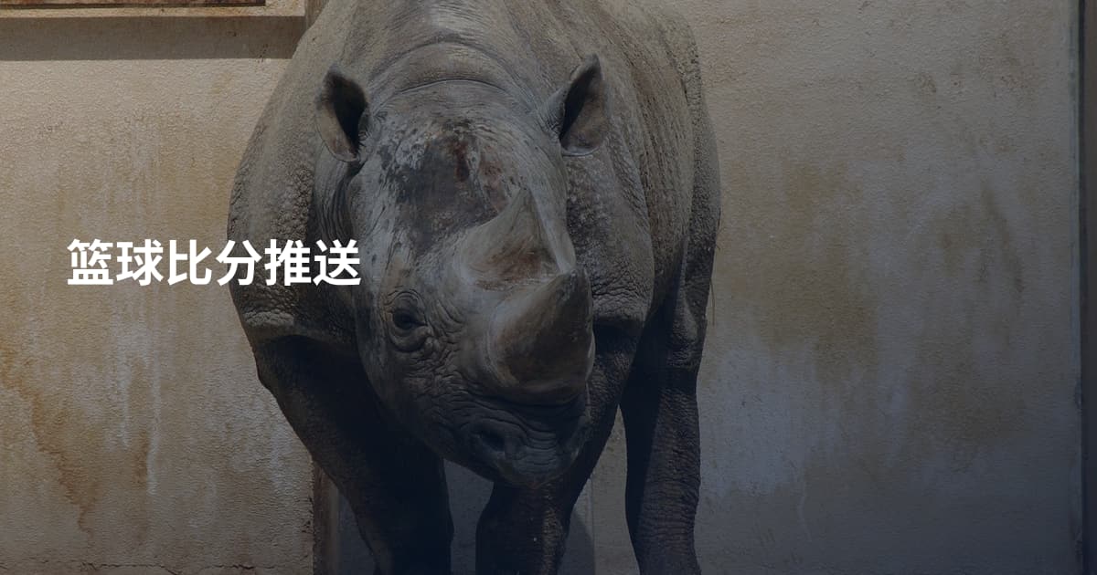 篮球比分推送