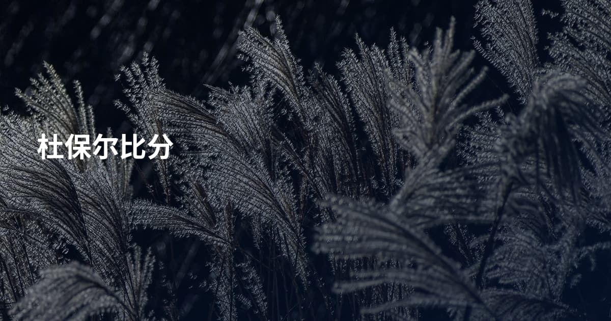 杜保尔比分