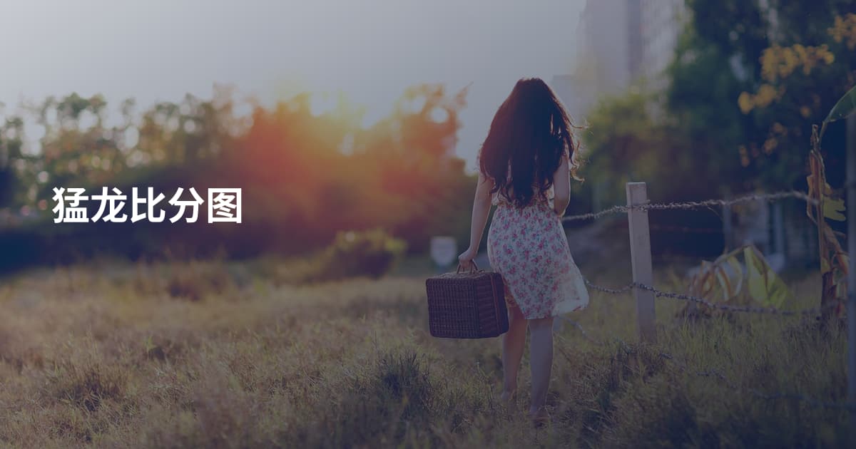 猛龙比分图