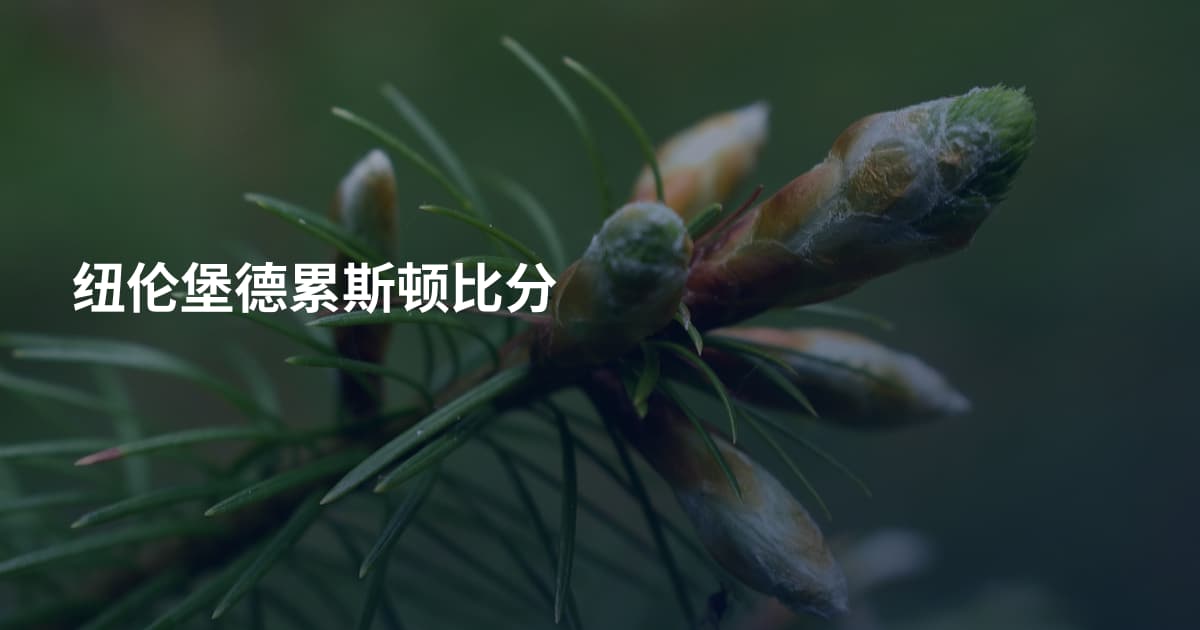 纽伦堡德累斯顿比分