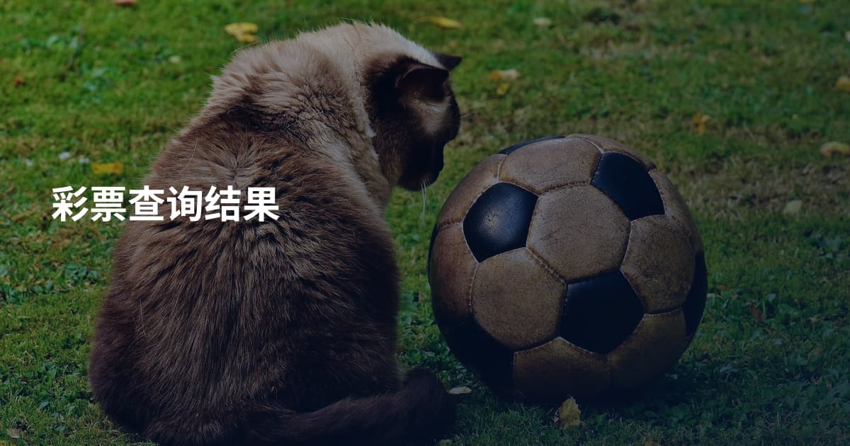 彩票查询结果