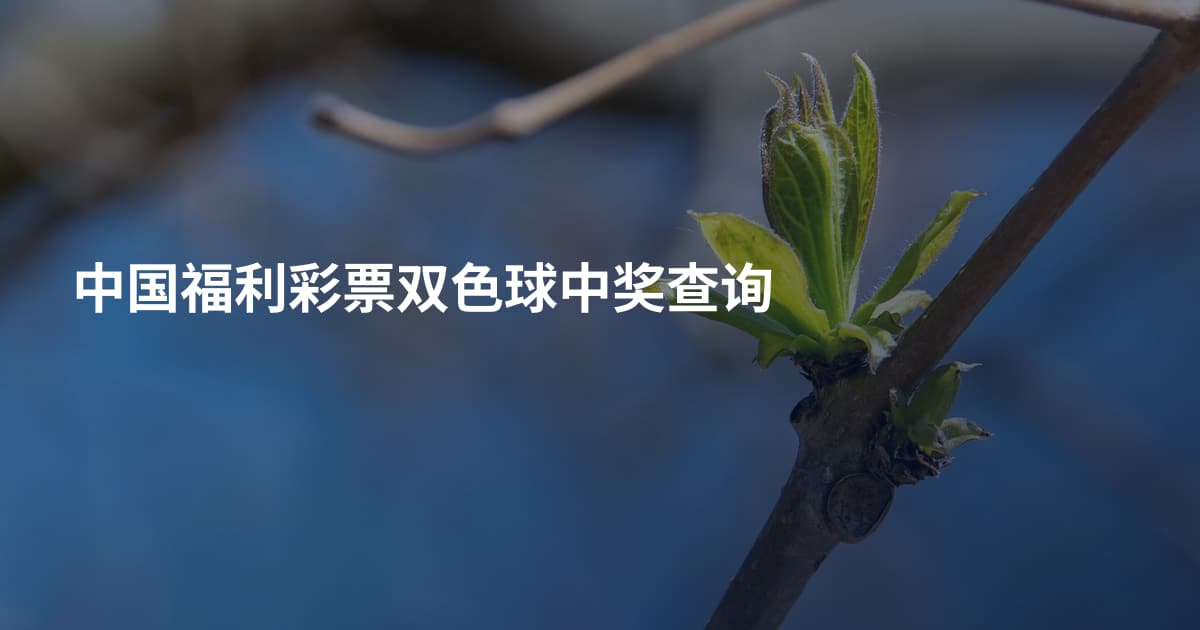 中国福利彩票双色球中奖查询