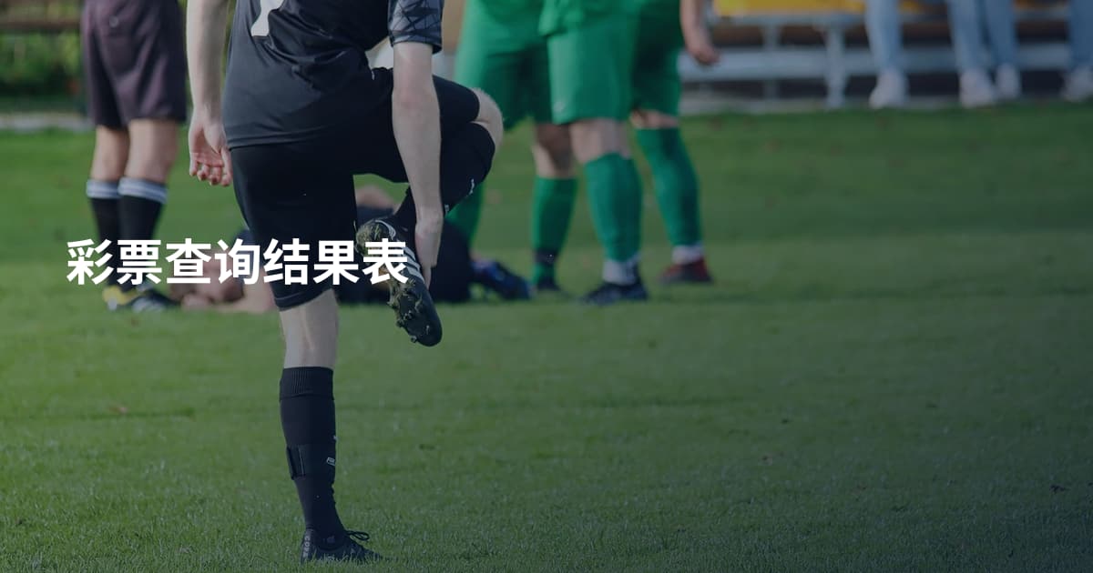 彩票查询结果表