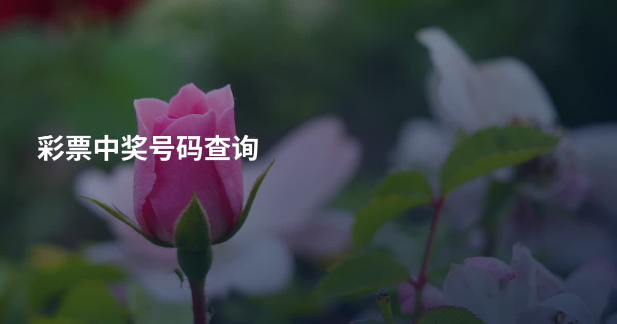 彩票中奖号码查询