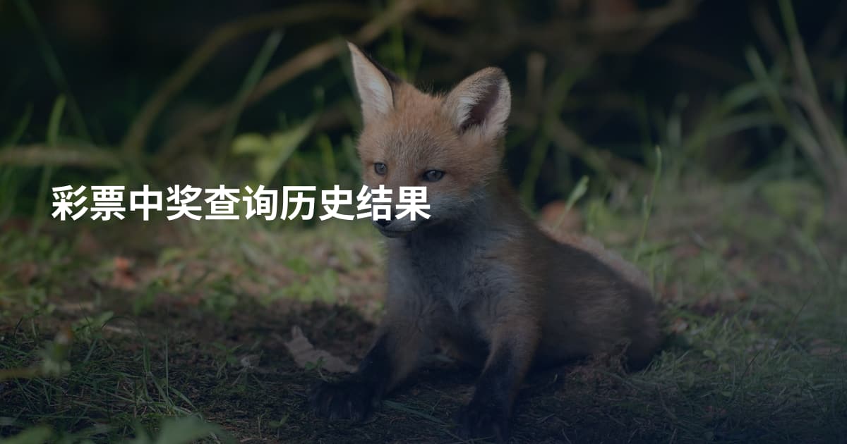 彩票中奖查询历史结果