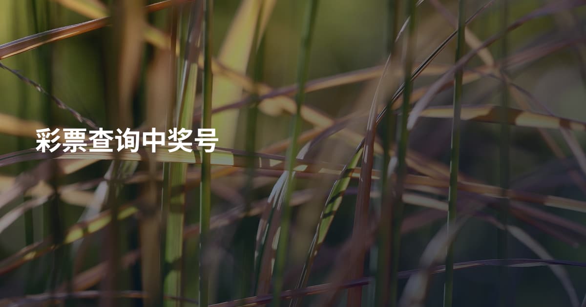 彩票查询中奖号