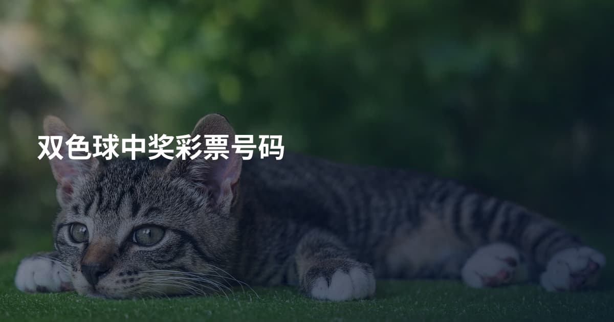 双色球中奖彩票号码