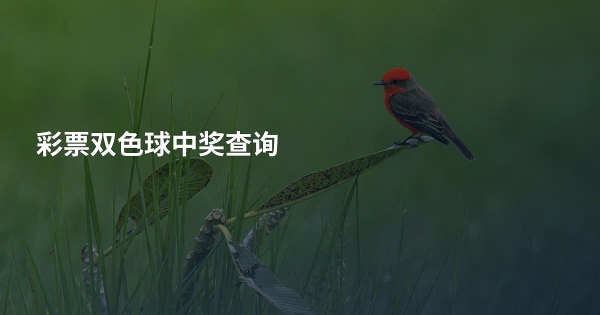 彩票双色球中奖查询