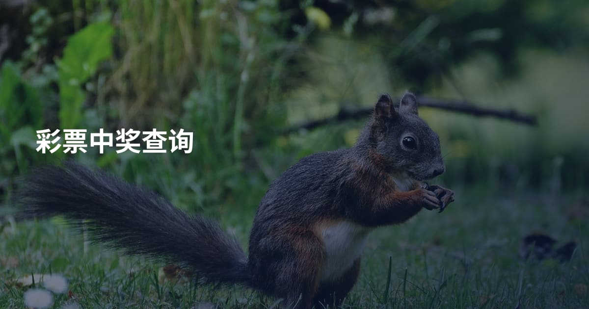 彩票中奖查询