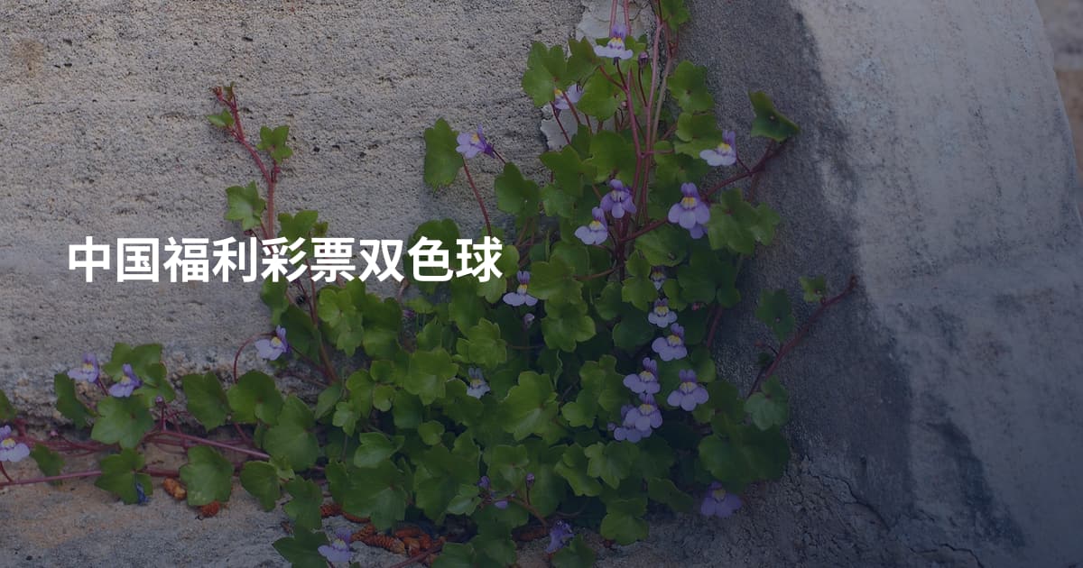 中国福利彩票双色球