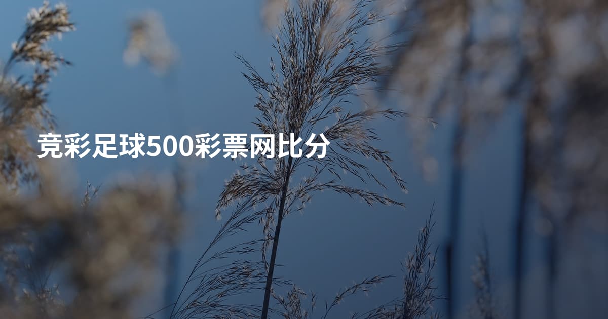 竞彩足球500彩票网比分