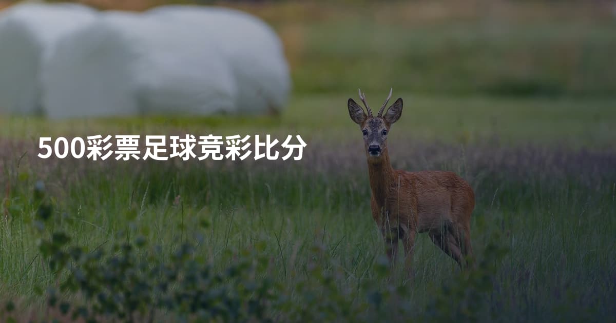 500彩票足球竞彩比分