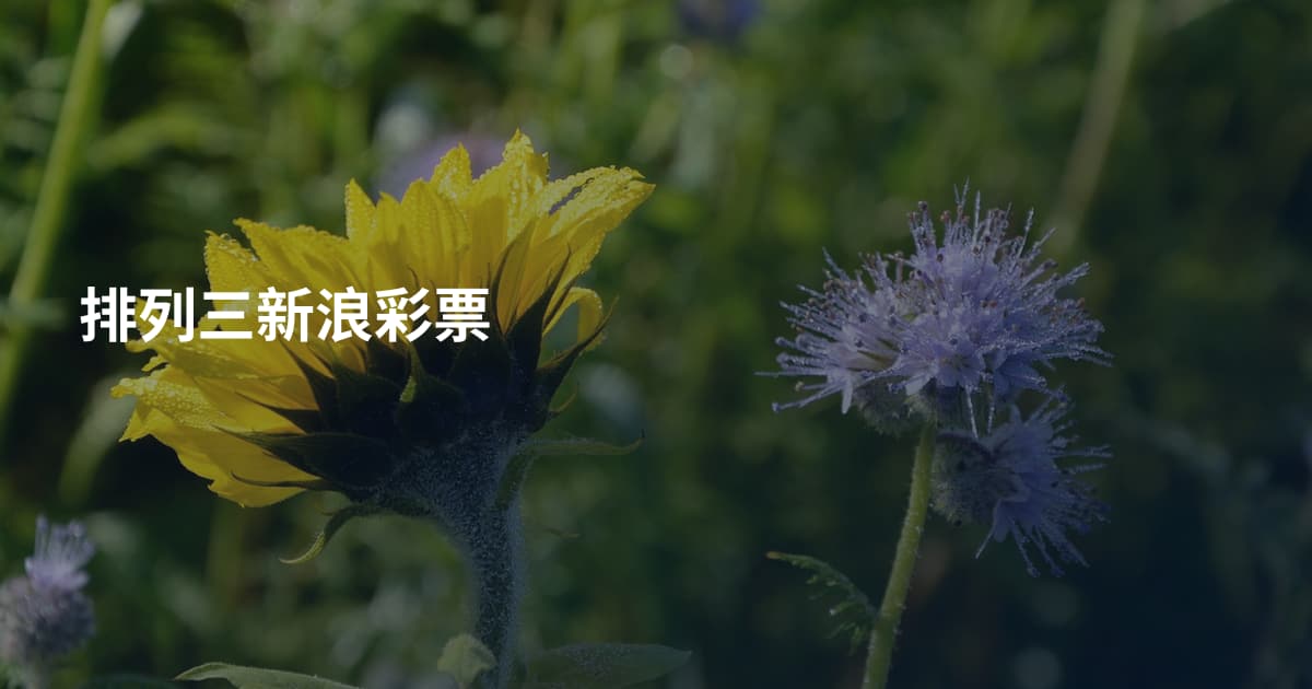 排列三新浪彩票