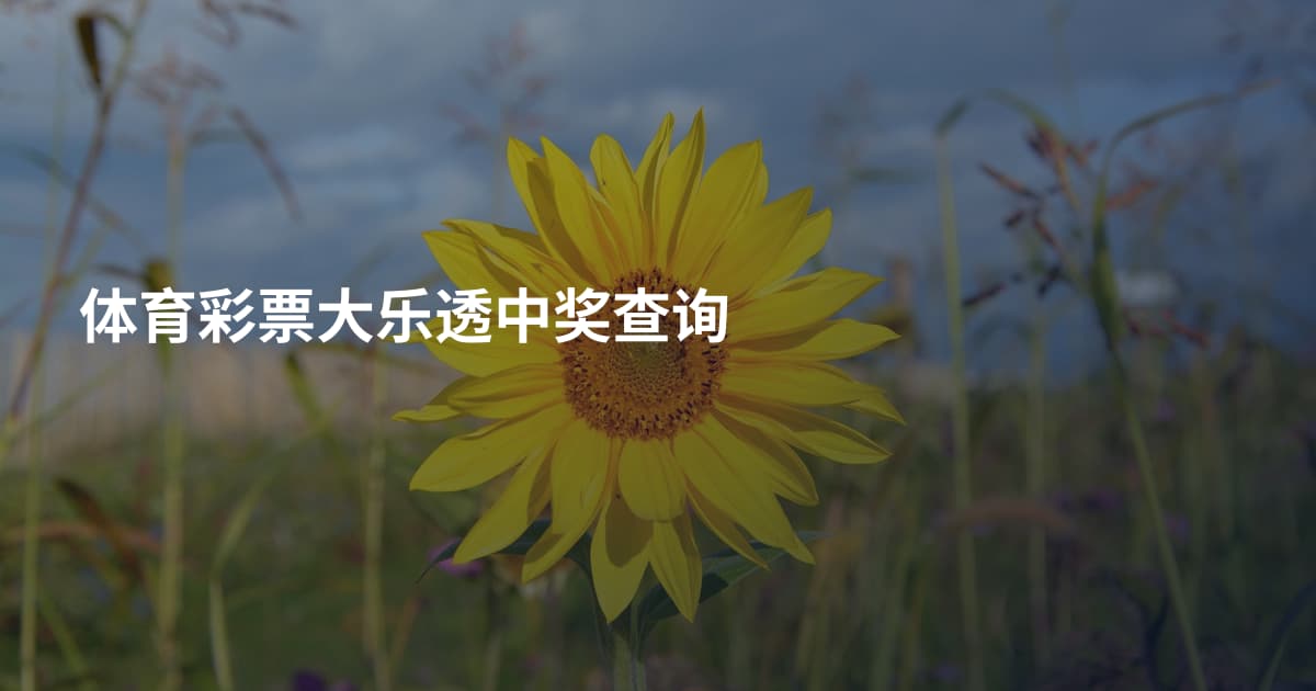 体育彩票大乐透中奖查询
