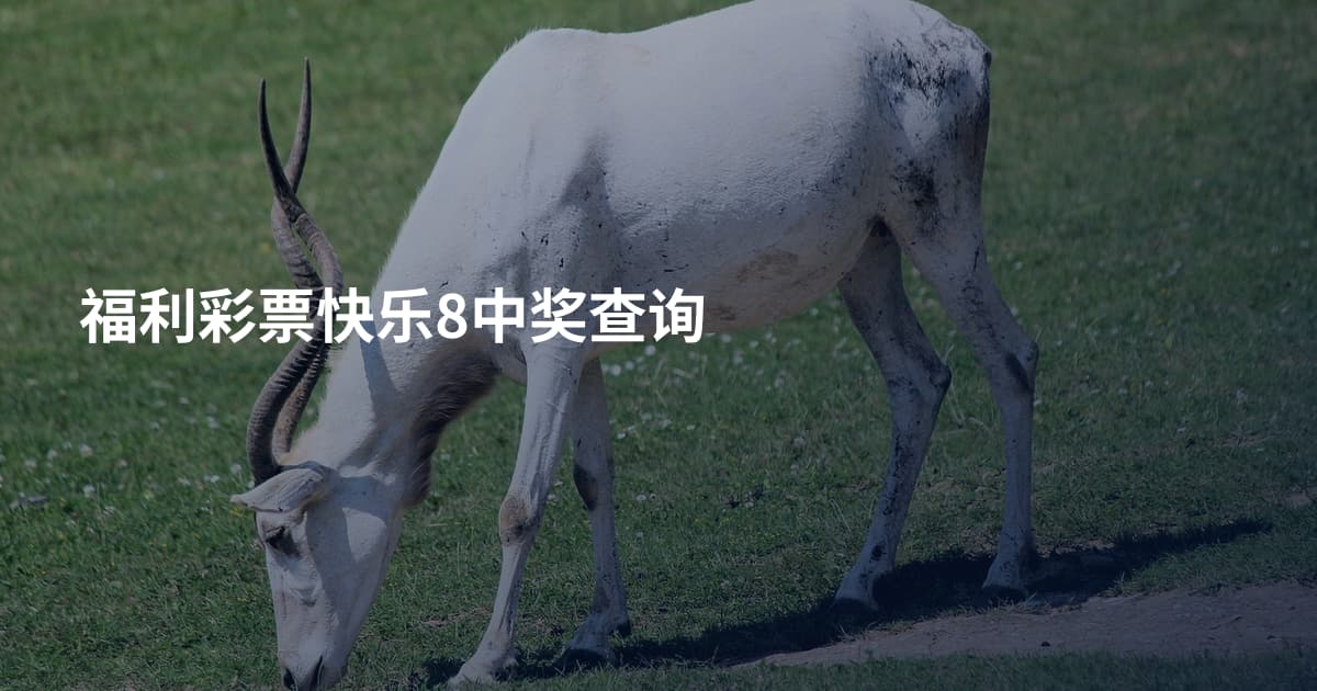 福利彩票快乐8中奖查询