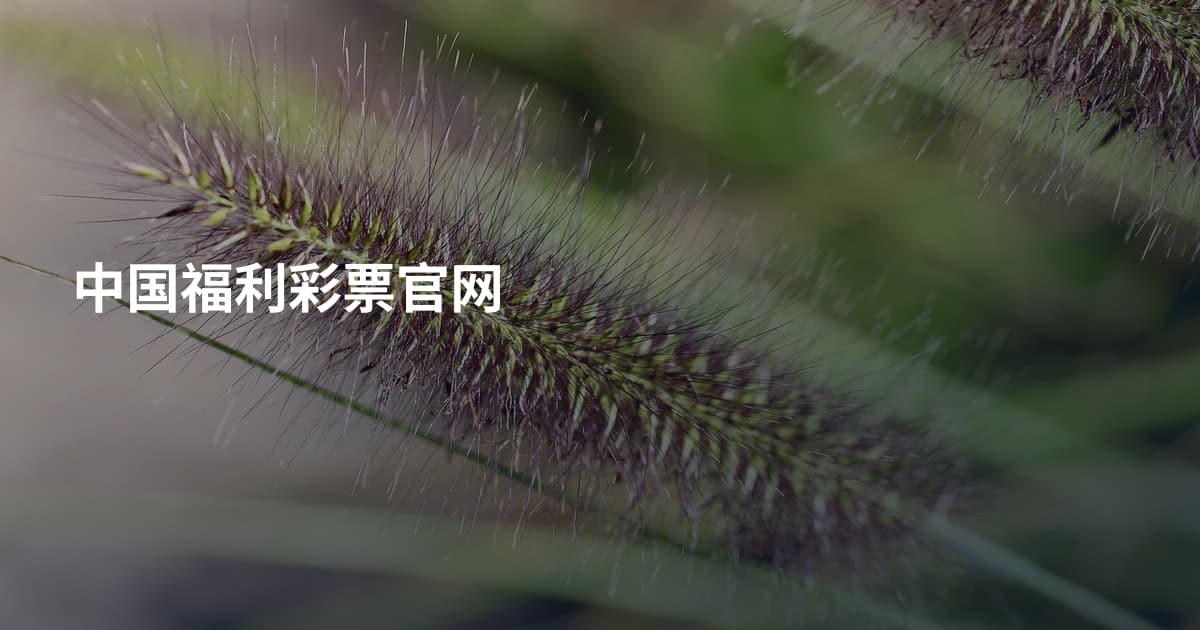中国福利彩票官网