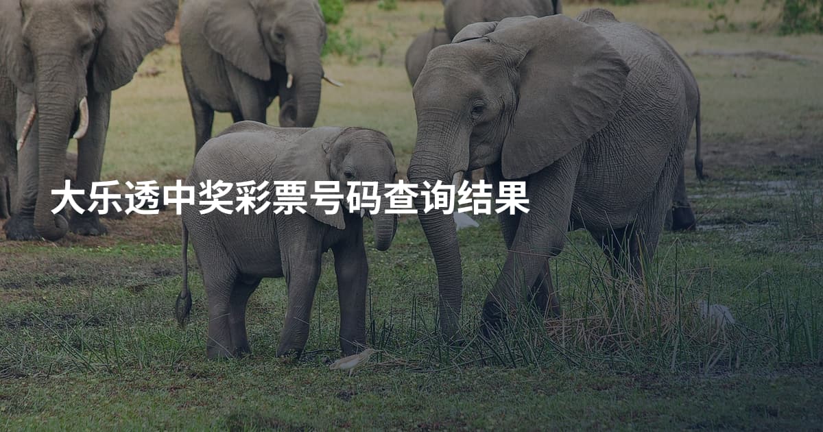 大乐透中奖彩票号码查询结果