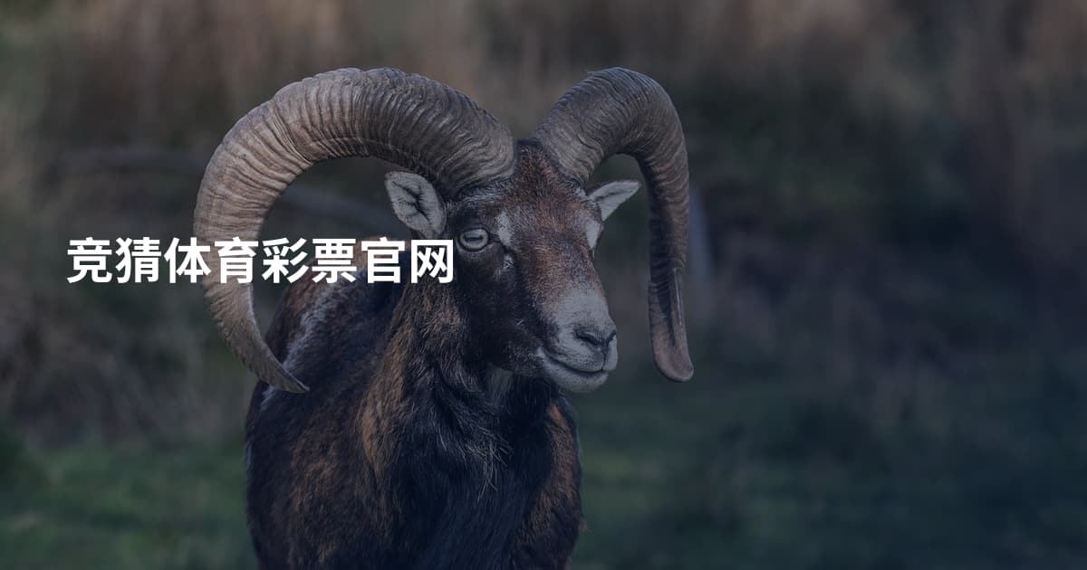竞猜体育彩票官网