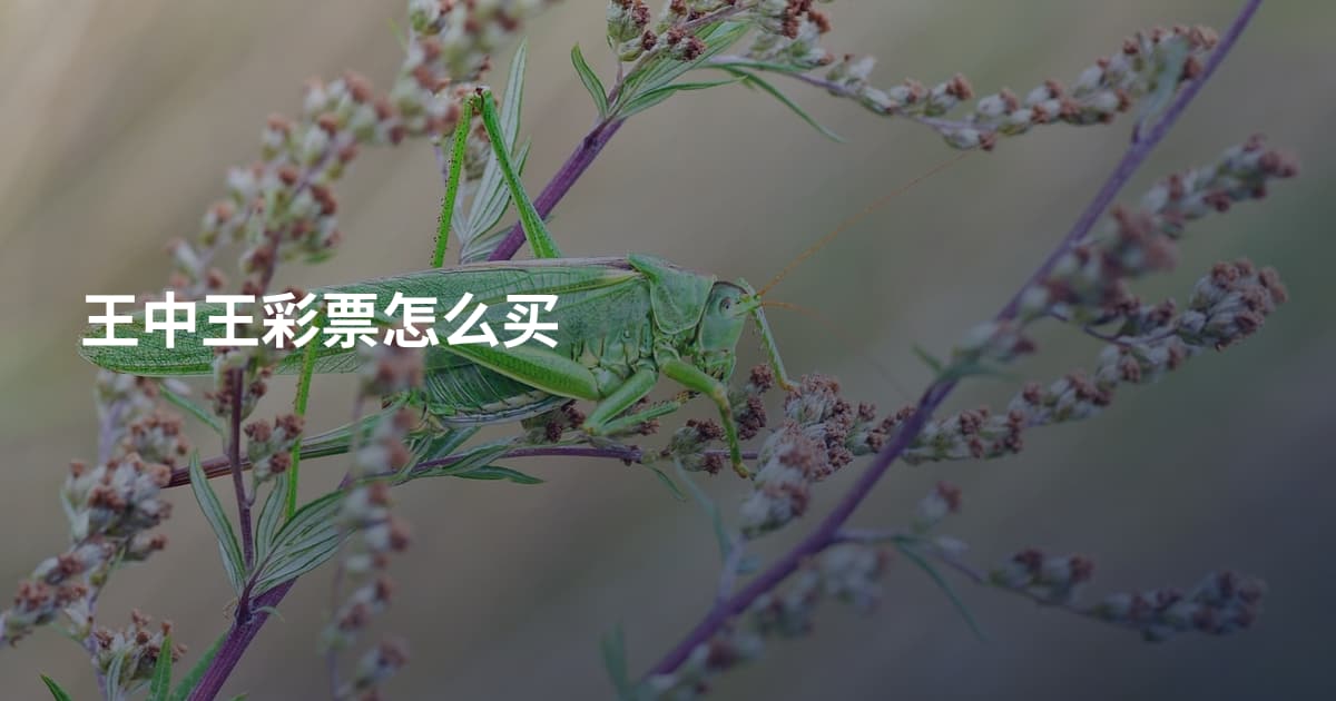 王中王彩票怎么买