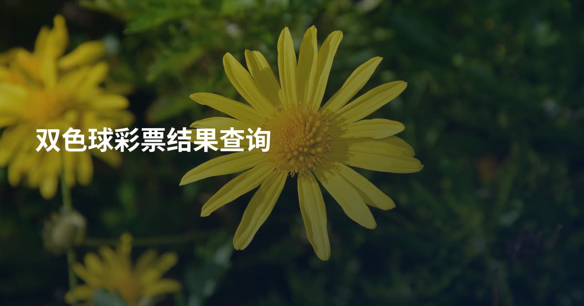 双色球彩票结果查询
