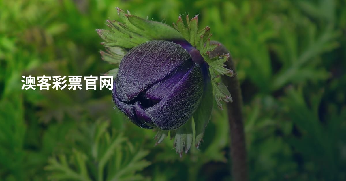 澳客彩票官网