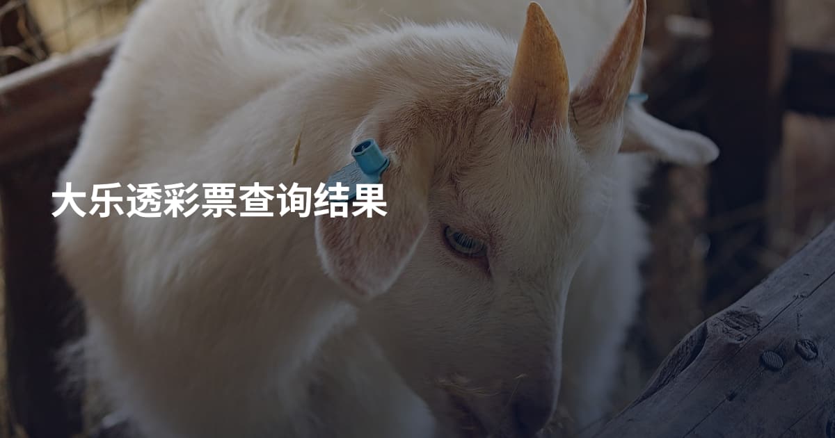 大乐透彩票查询结果